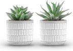 Set of 2 Succulents Plants Artificial Fake Cactus Plants for Living Room Bathroom Bedroom Aesthetic Home Shelf Decor