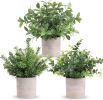 3 Pack Mini Potted Fake Plants Artificial Plastic Eucalyptus Plants Centerpieces for Table Home Office Desk Accessories Farmhouse Room Classroom Decor