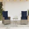 Reclining Garden Chair Gray, Navy Blue