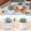Set of 2 Succulents Plants Artificial Fake Cactus Plants for Living Room Bathroom Bedroom Aesthetic Home Shelf Decor