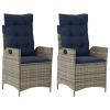Reclining Garden Chair Gray, Navy Blue
