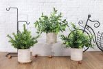 3 Pack Mini Potted Fake Plants Artificial Plastic Eucalyptus Plants Centerpieces for Table Home Office Desk Accessories Farmhouse Room Classroom Decor