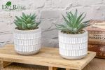 Set of 2 Succulents Plants Artificial Fake Cactus Plants for Living Room Bathroom Bedroom Aesthetic Home Shelf Decor