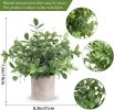 3 Pack Mini Potted Fake Plants Artificial Plastic Eucalyptus Plants Centerpieces for Table Home Office Desk Accessories Farmhouse Room Classroom Decor